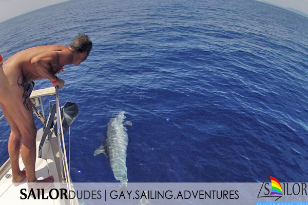 Gay nude sailing Greece - watch Dolphins