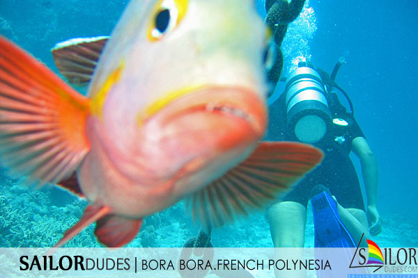 Gay sailing cruises French Polynesia Tahiti Bora Bora