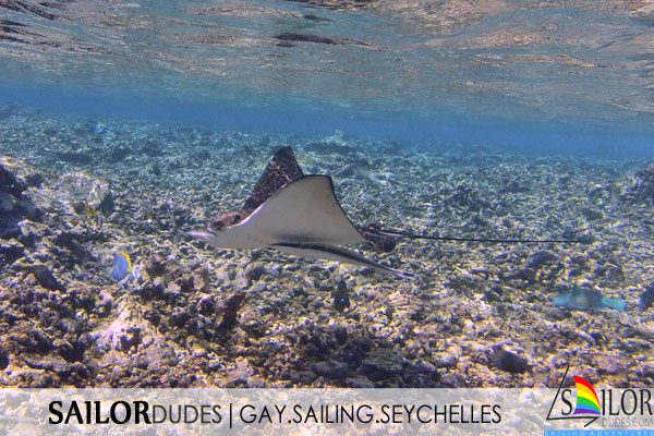 Gay sailing cruises Seychelles