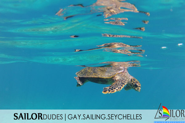 Gay sailing cruises Seychelles