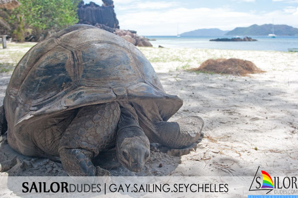 Gay sailing cruises Seychelles