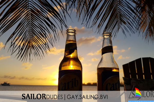 BVI Palm tree beers